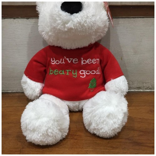 Beary Message Bears Boneka Beruang Kutub - You've been beary good