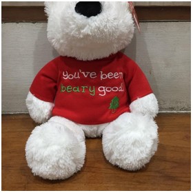Beary Message Bears Boneka 