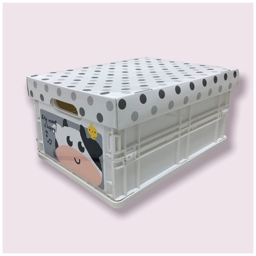 Container Box Lipat Foldable Storage Organizer AP0772